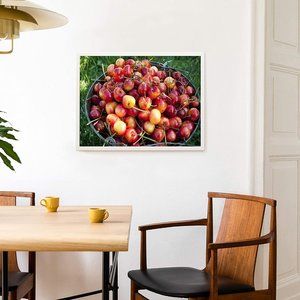 New Poster - Bucket of Ripe Ranier Cherries (19 x 12) Farmstand